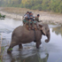 Bardiya National Park Safari